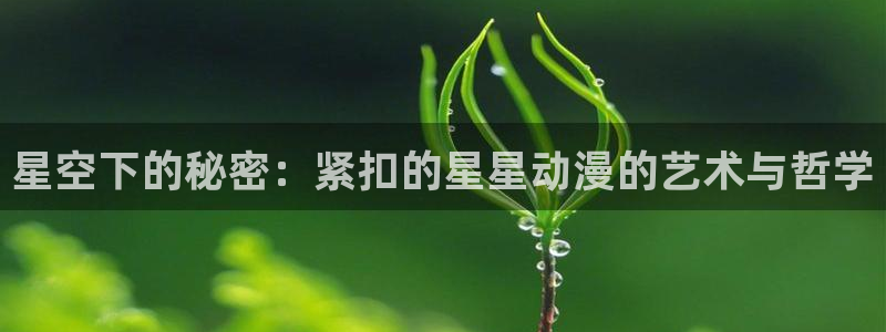 ★禁漫天堂漫画免费：星空下的秘密：紧扣的星星动漫的艺术与哲学